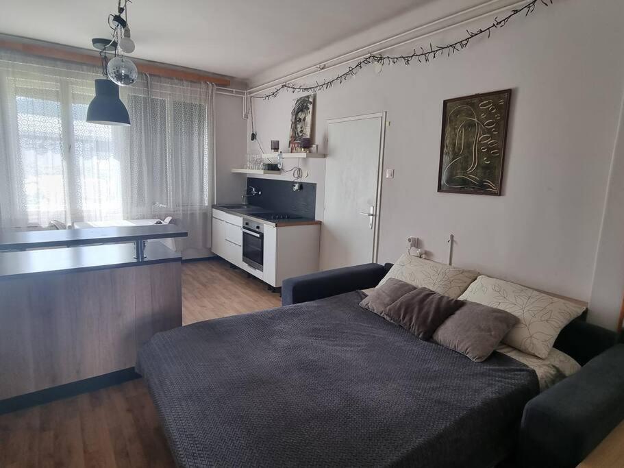 Cosy 2 Room Apartment With Nice Vibe, For Up To 4 Любляна Екстер'єр фото